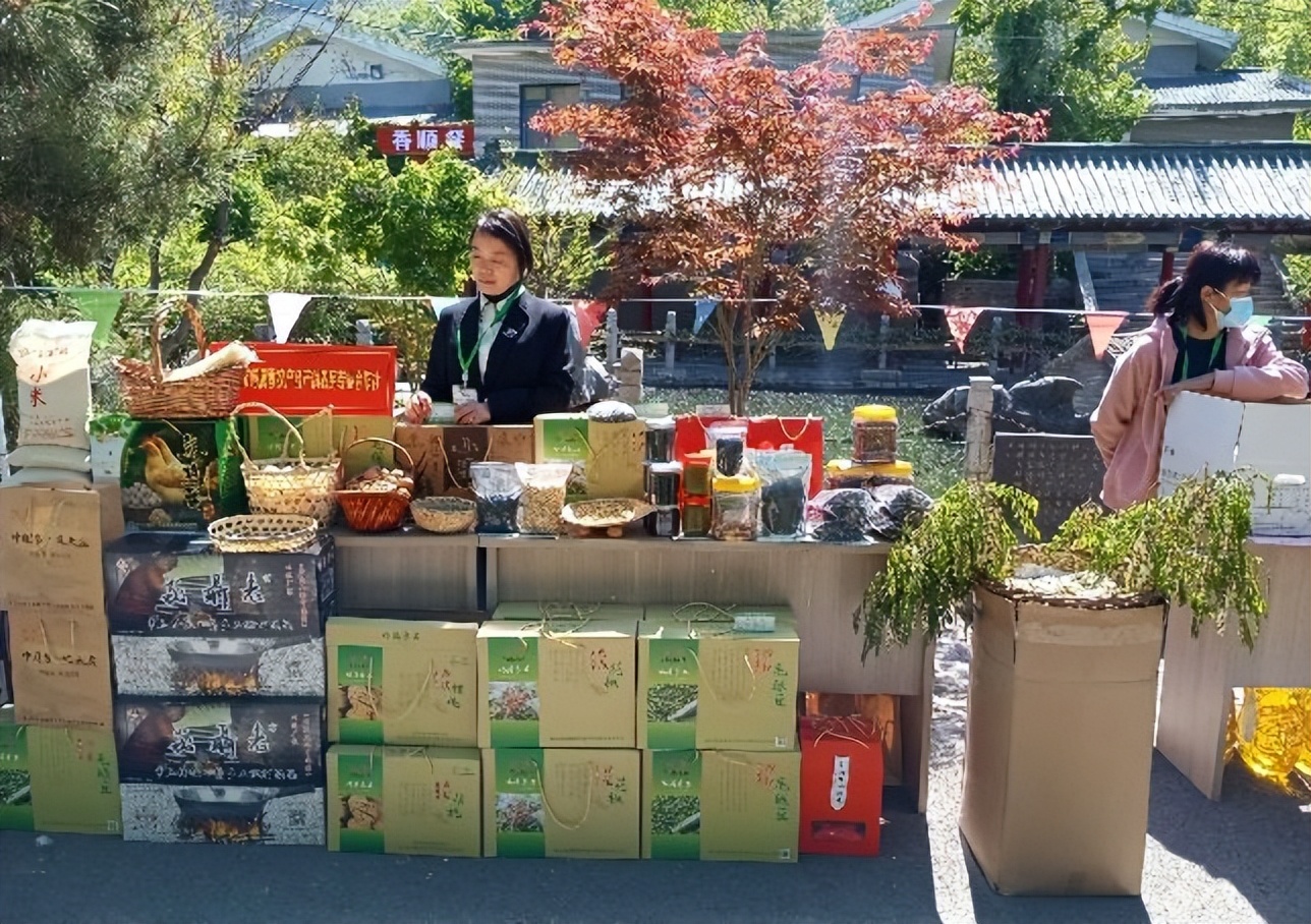 济南3-4月份赏花适合去哪里旅游,五一济南哪里好玩
