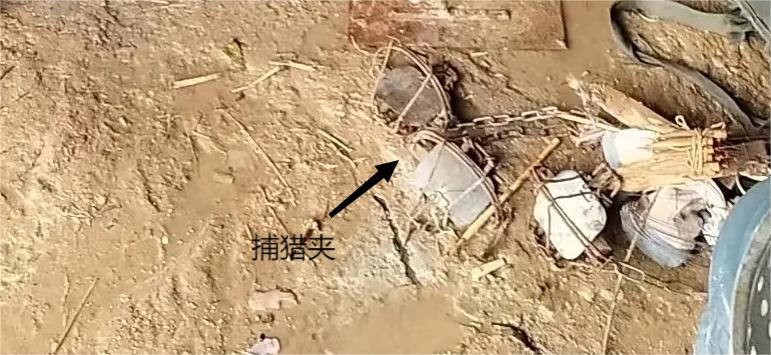 【三抓三提升·破小案】诱捕野鸡，这个想法可真刑