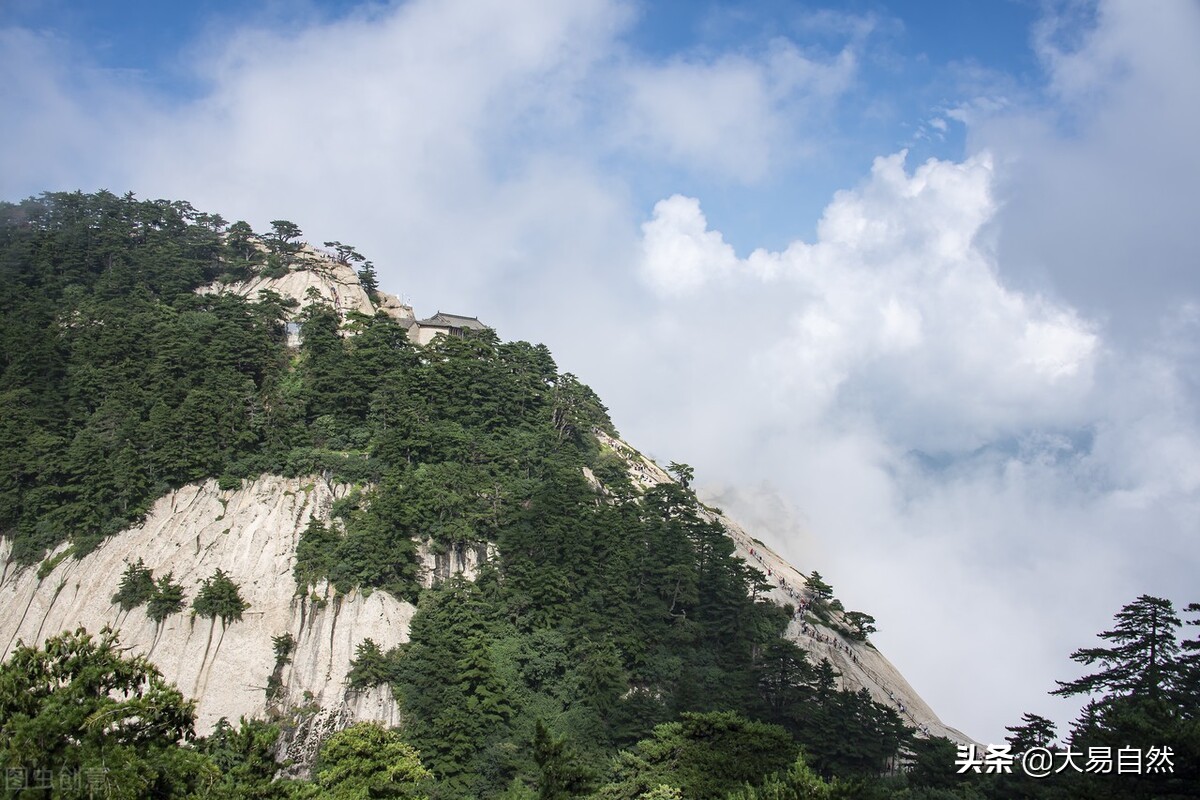 道德经负阴而抱阳讲解,万物负阴抱阳是道德经第几章说的