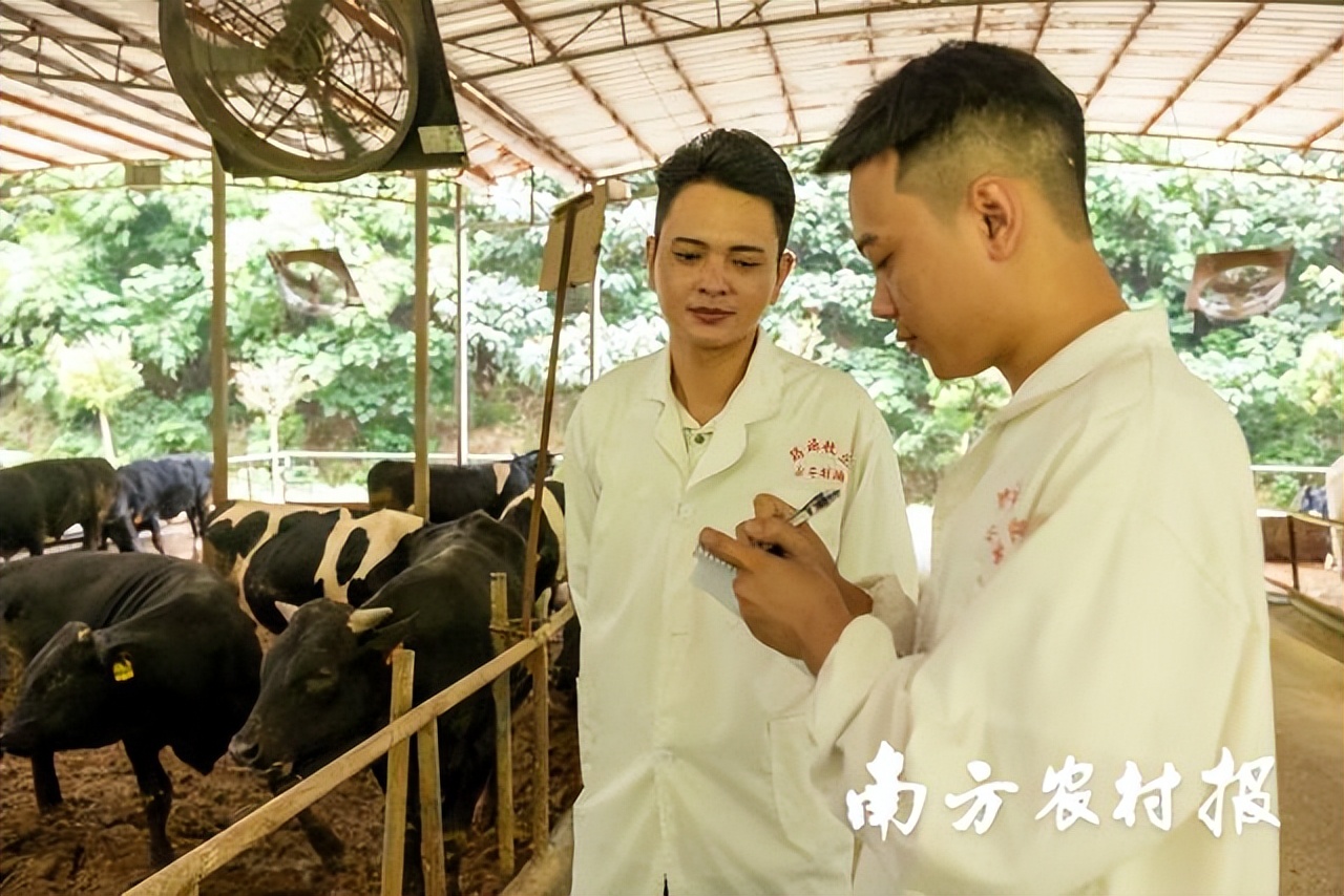 此心安处是吾乡全诗,吾心归处是吾乡议论文