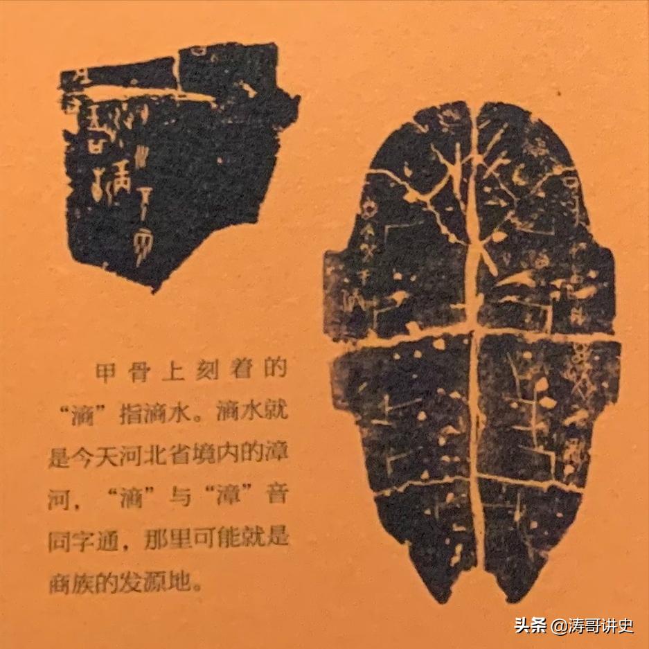 殷墟发现白人遗骨,殷墟遗址出土白人头骨