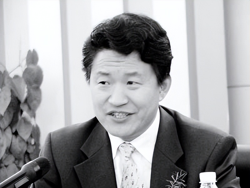 徐立华身价多少个亿,徐立华身家