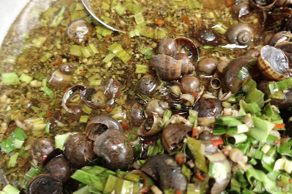 哈尼寨子美食,哈尼味美食西双版纳