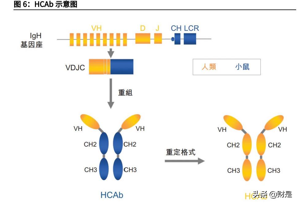 和铂医药是国企吗,和铂医药深度分析