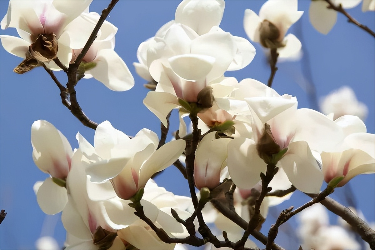 爱情中两个人应该怎么相处,两个人在恋爱中遇到三种情况