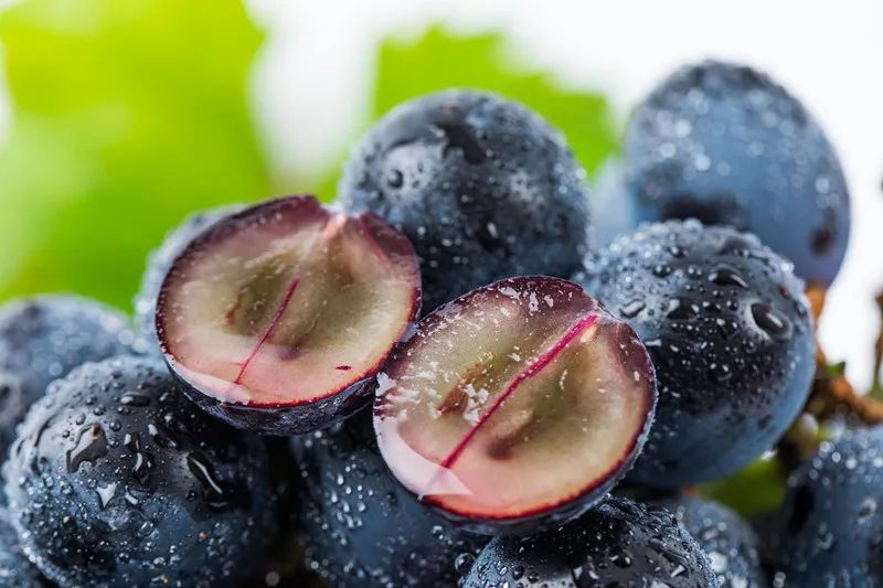 养生初秋宜吃葡萄补气血益肝肾,补肾健脾最好的食物葡萄