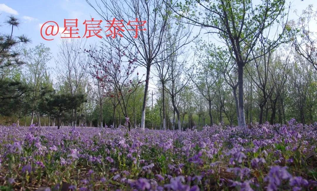 南京理工大学百科介绍,南京理工大学百科简介