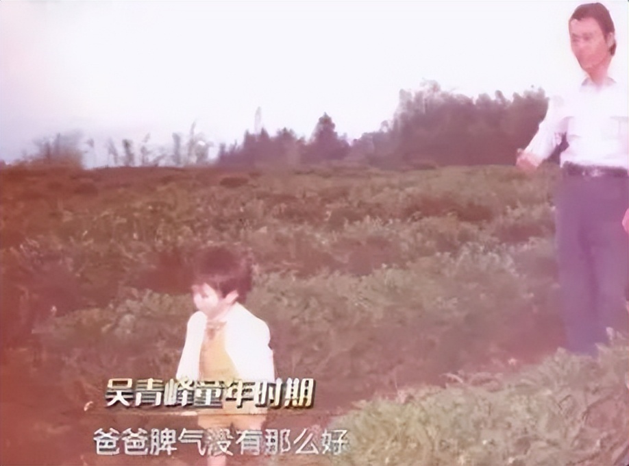 吴青峰的官司赢了吗,吴青峰官司是怎么回事