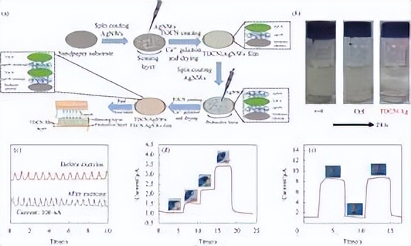 探究银离子浸渍海藻酸盐和水凝胶的制备及其抗菌性能