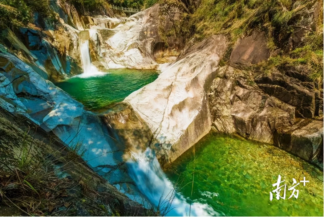 征集下联!乳源瑶药产业园区域公用品牌广告语第二轮征集活动开始啦