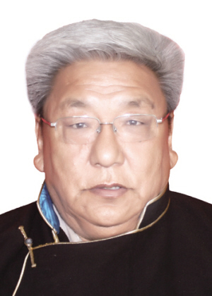 贵州15名中医,西藏名中医