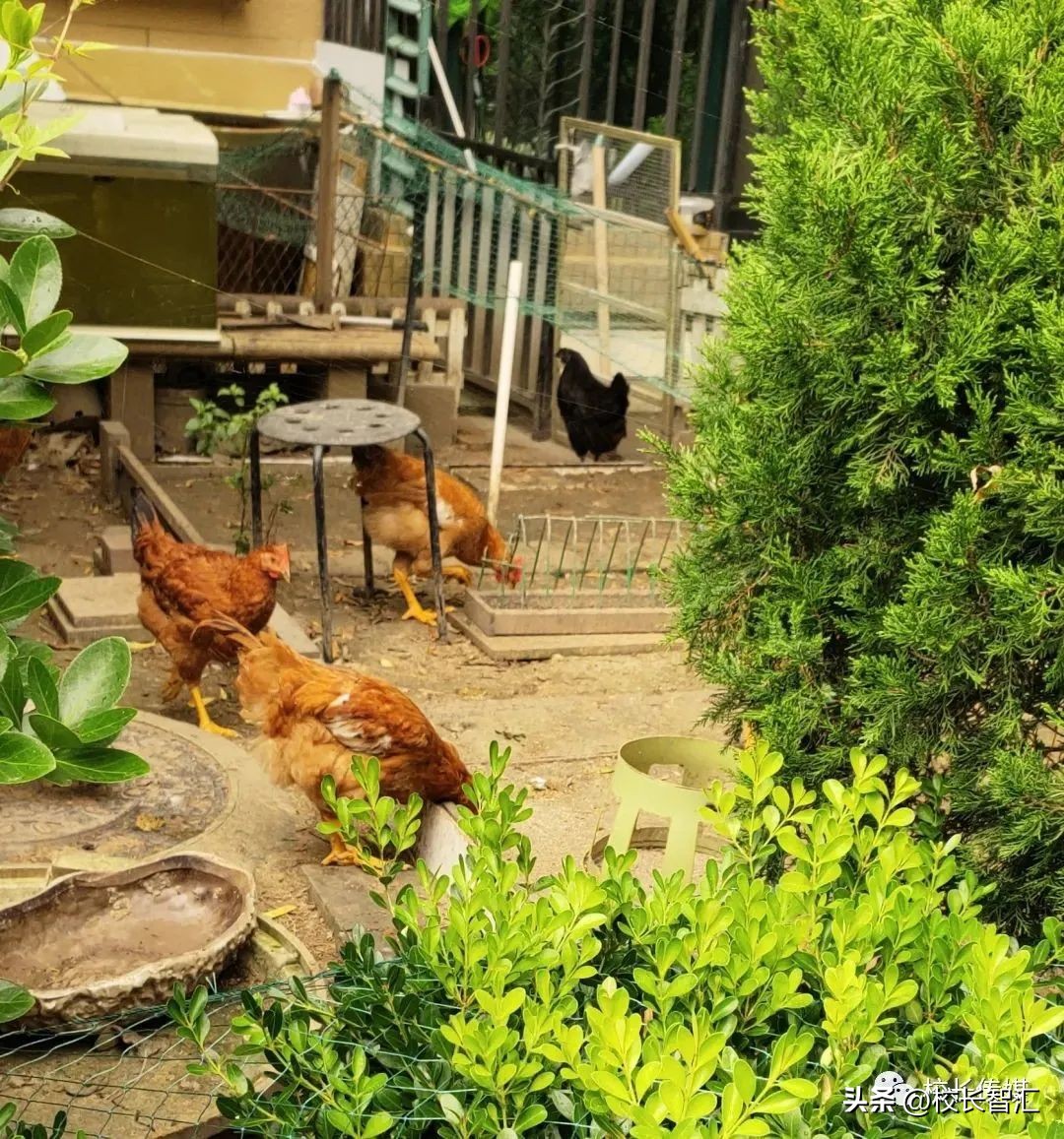 李瑞教课靠谱吗,李瑞训练方法视频