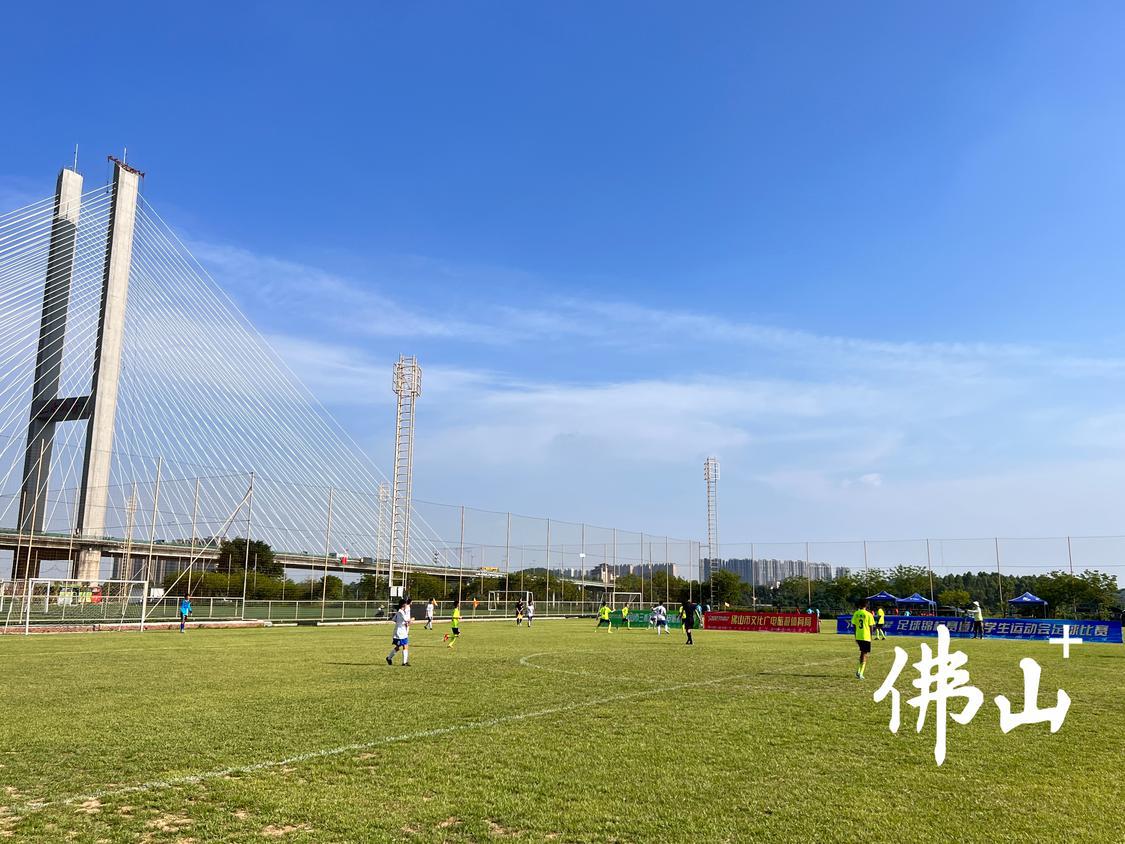 佛山三水西甲联赛球场定位,佛山西甲足球赛去年在哪里举办