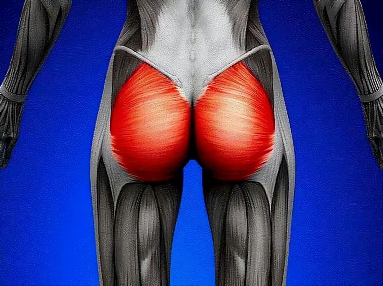 为什么有的人会长“肛毛”？能直接刮掉吗？听听医生的回答