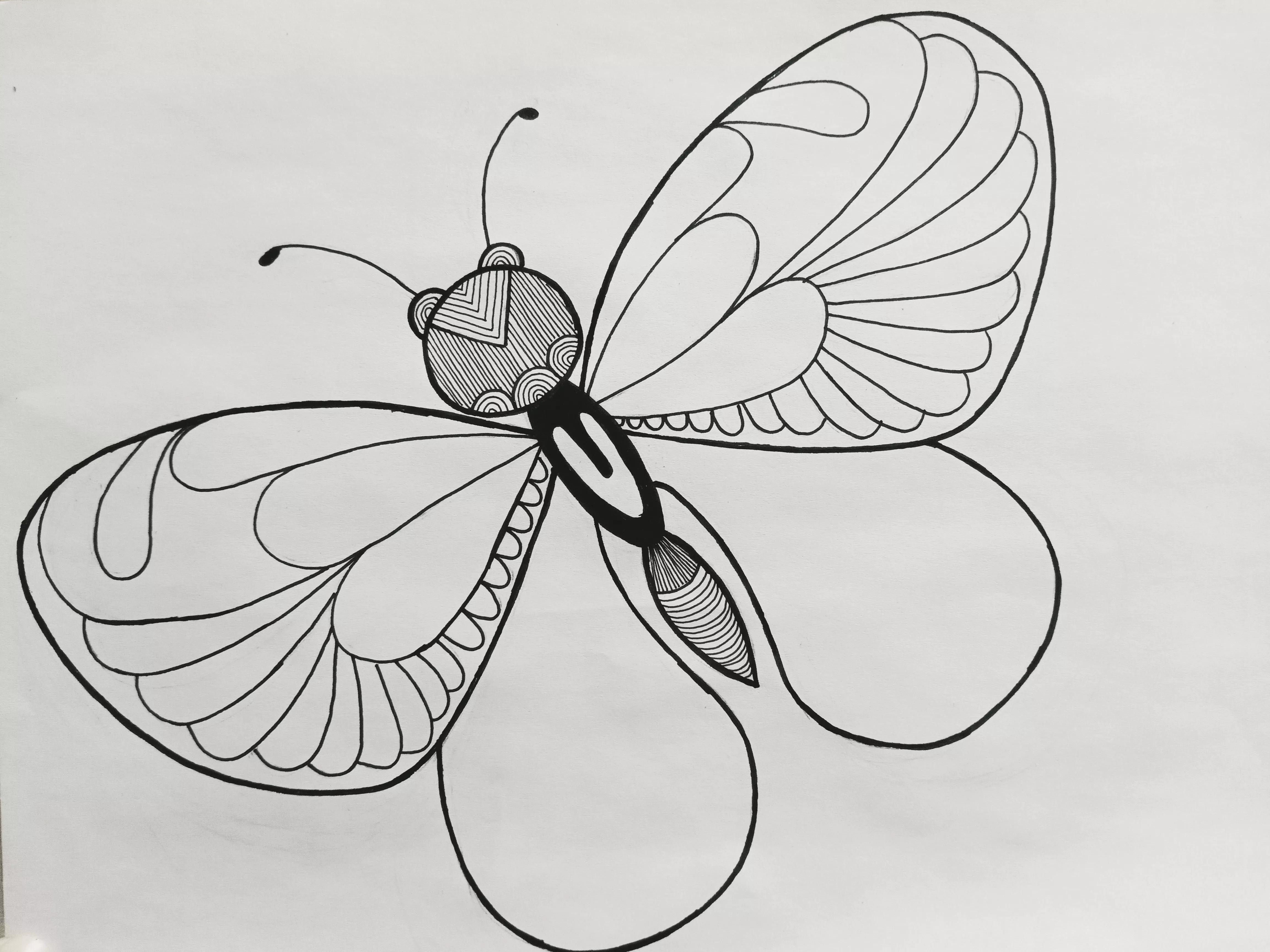 蝴蝶线描画绘画过程,绘画蝴蝶教程线描画