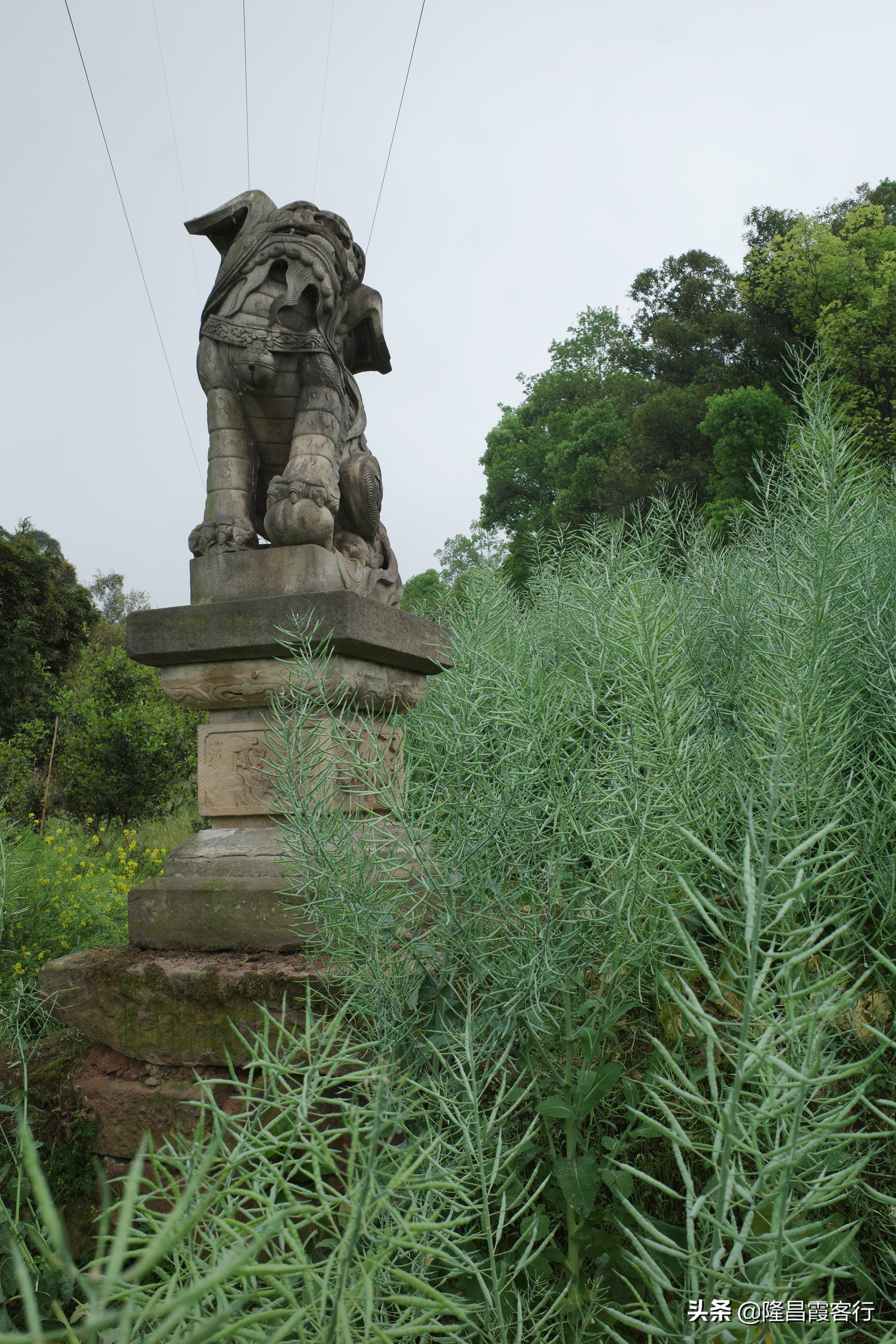 隆昌石燕桥古墓,隆昌石燕桥石狮子