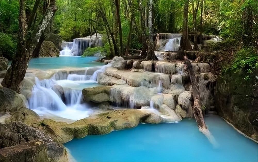 【期末复习】那一刻，我长大了（五年级下第一单元作文范文29篇）