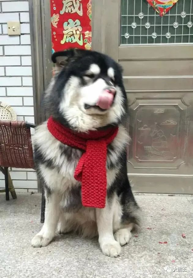 无人拒绝的情人节礼物,很庸俗的情人节礼物