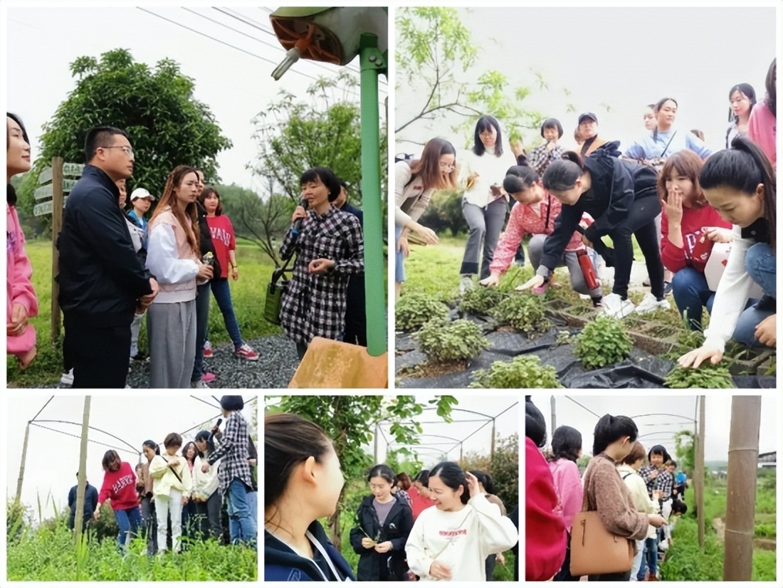 走心用情，家长直呼对这家幼儿园是“真爱”|走进万婴家园合作