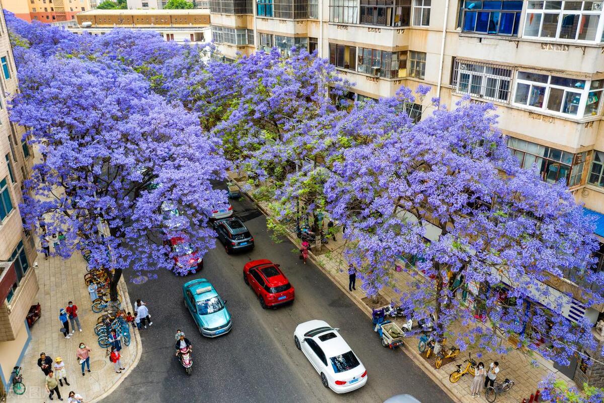 中国最宜居适合年轻人发展的城市,四线宜居城市排名