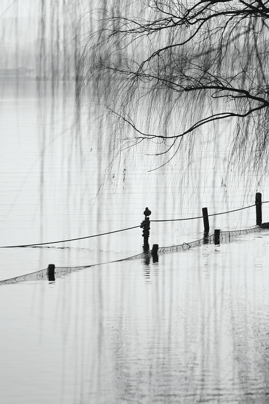 杭州四湖代表什么数字,最能代表新杭州的是什么