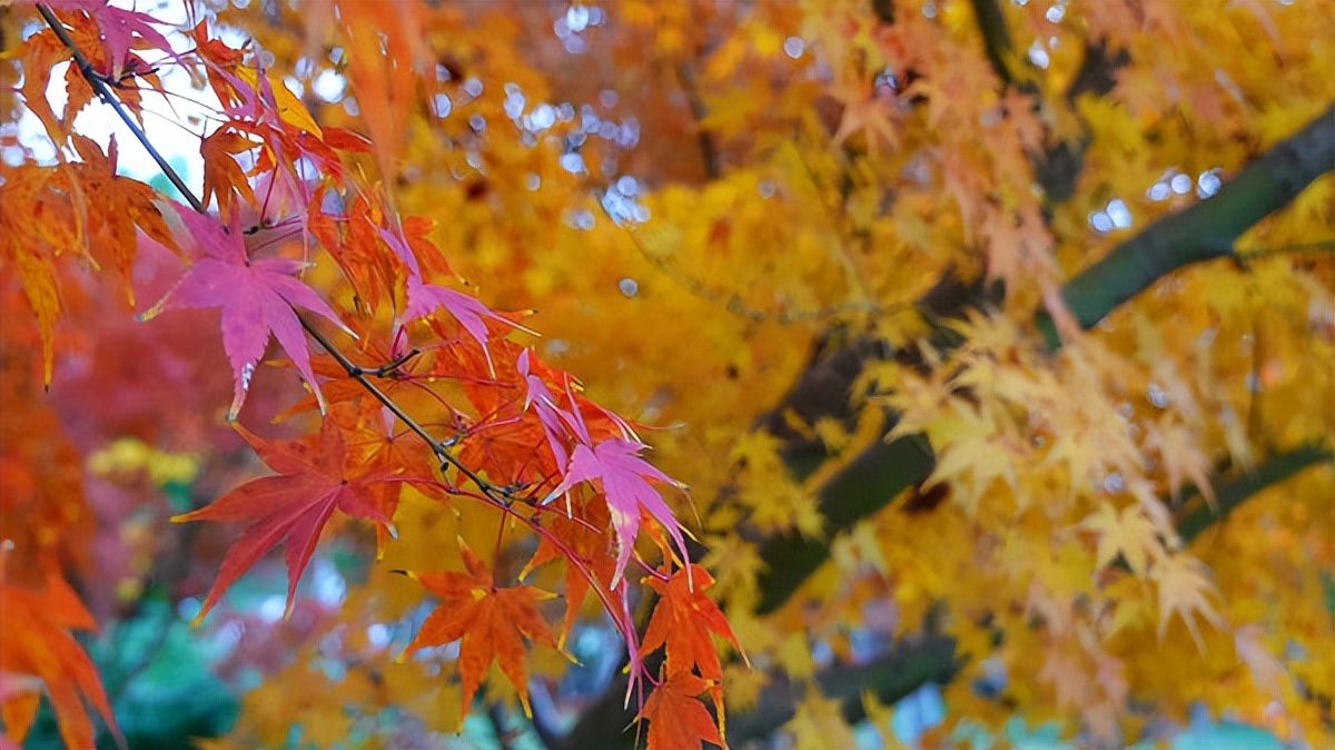 在江苏的“绿林仙海”中，寻找侠气与柔情