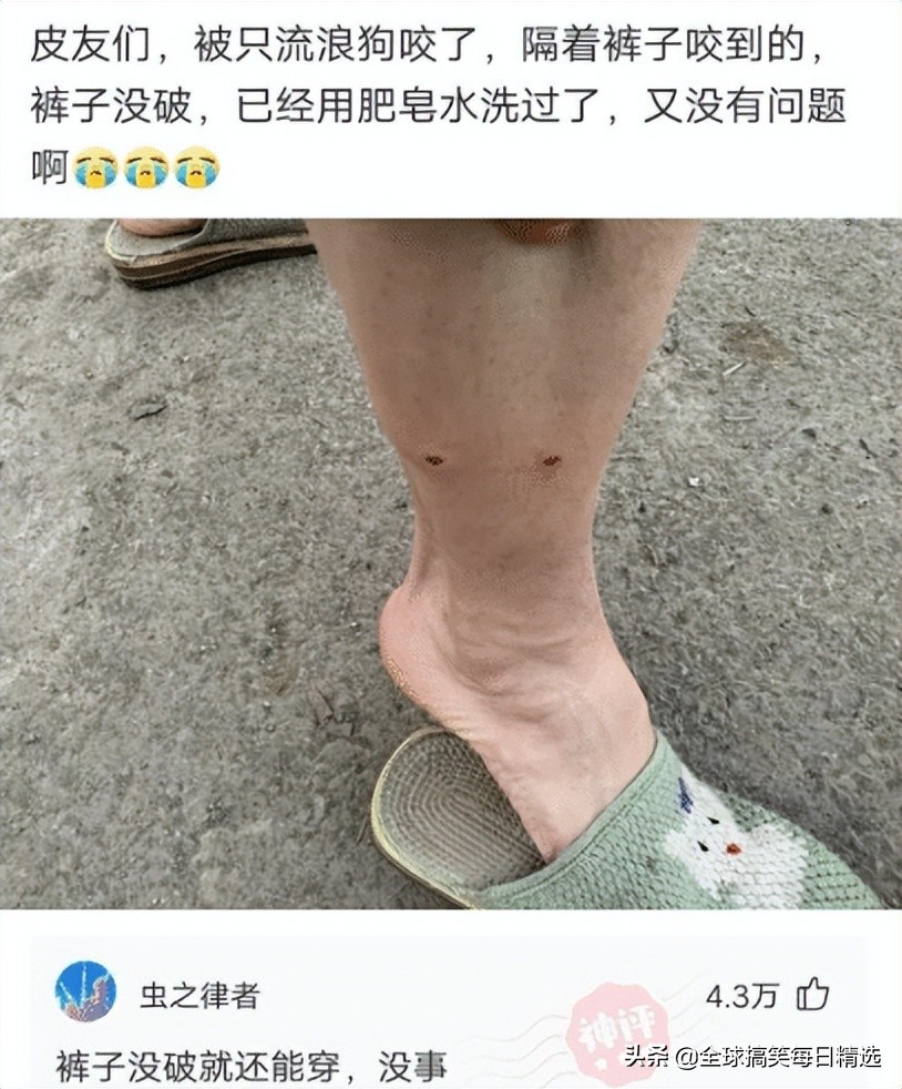 你的岗位还招人吗神回复,问做什么工作怎么神回复