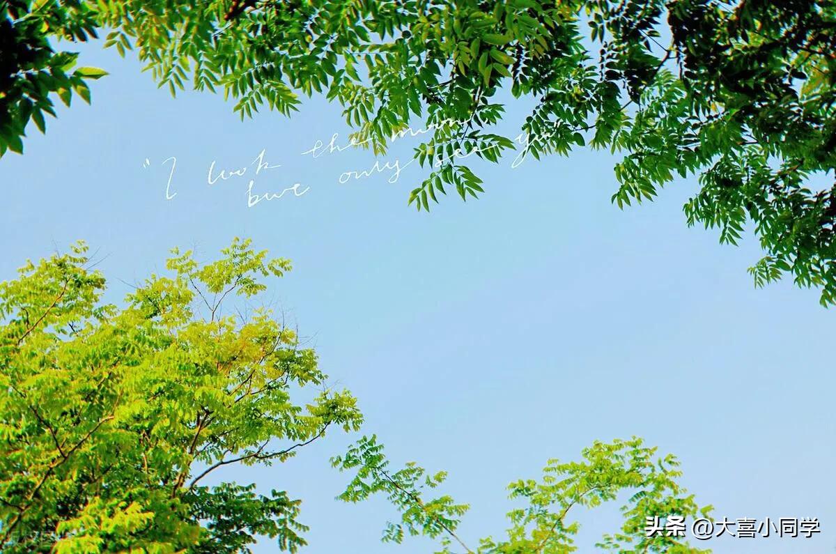 六月文案高级感有深度,三月高级文案干净治愈