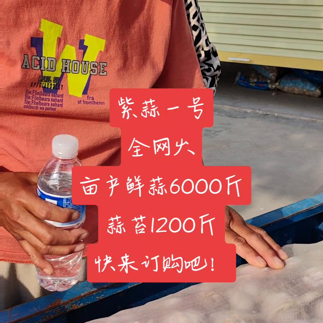 三农致富经养猪技术,三农致富经养殖麻雀