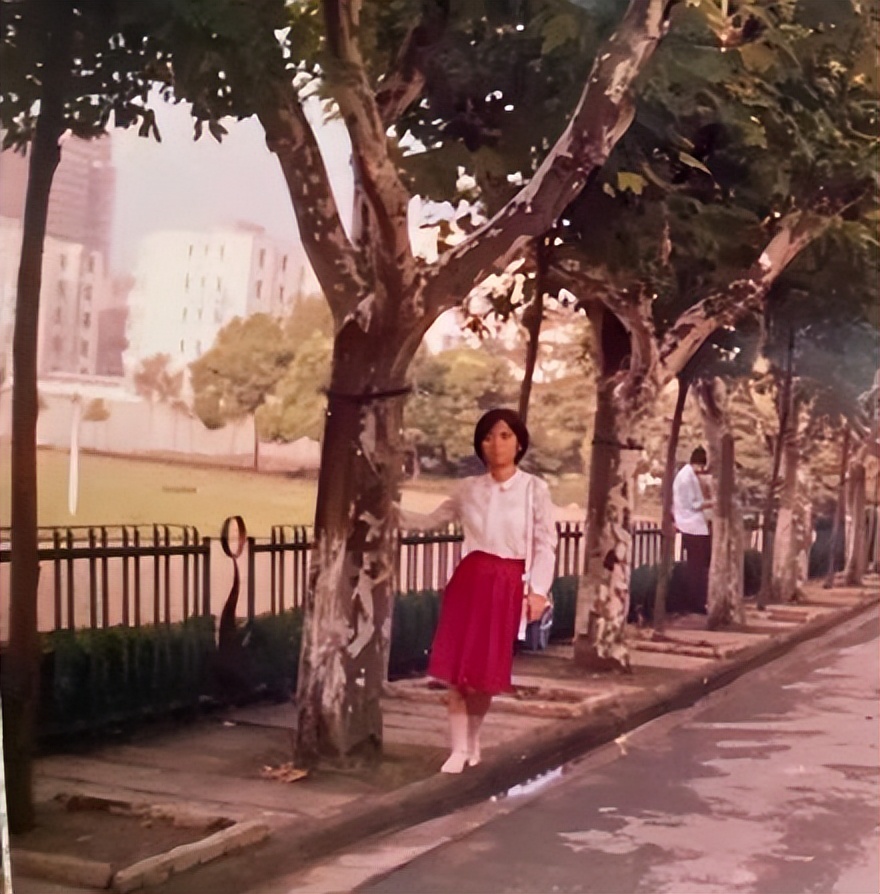 意大利被授予勋章,意大利勋章