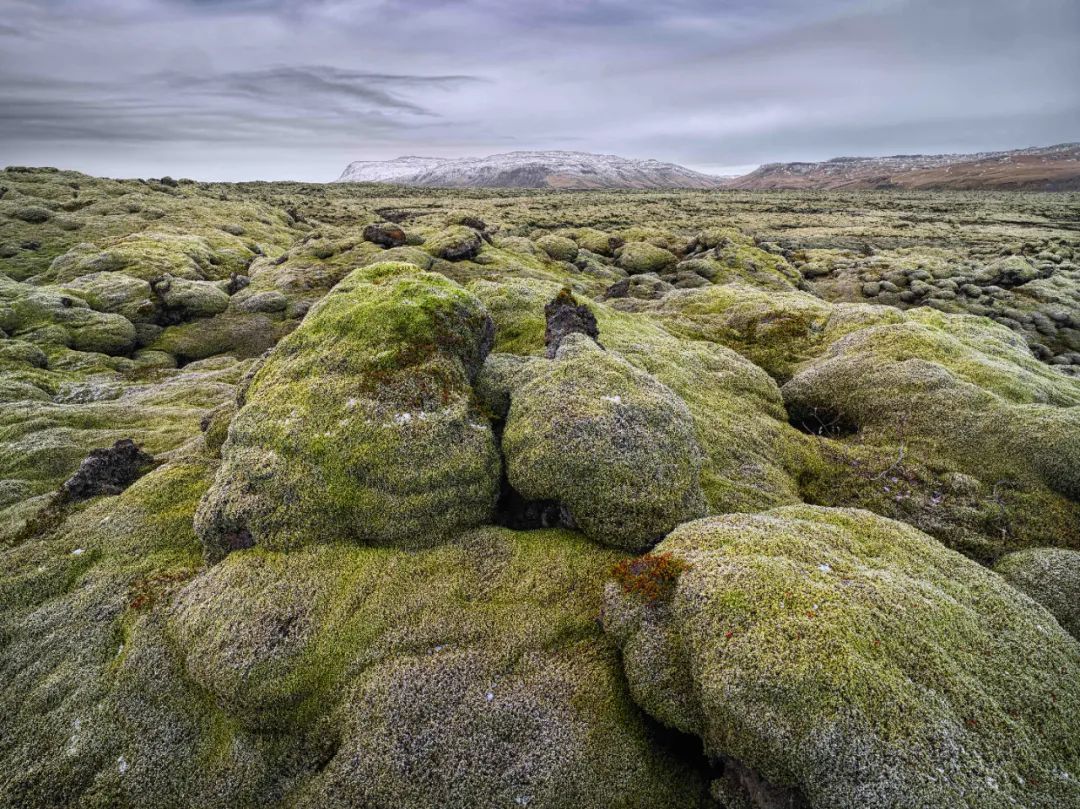 第一款月球相机,第1个登上月球的相机品牌是什么