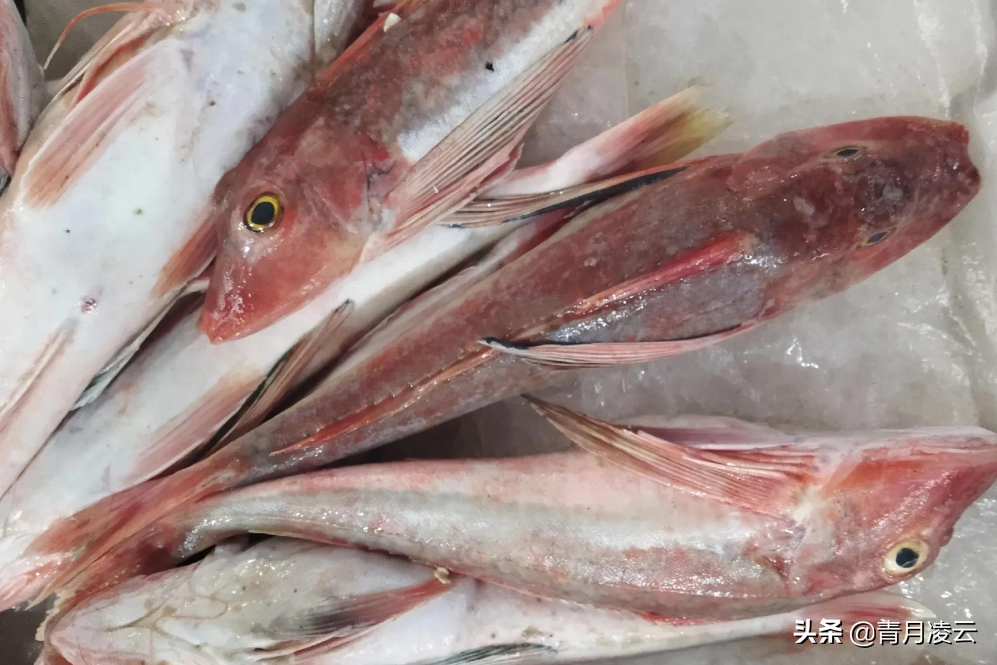 海鲜市场常见海产品图鉴,海鲜市场常见海产品图鉴表图例