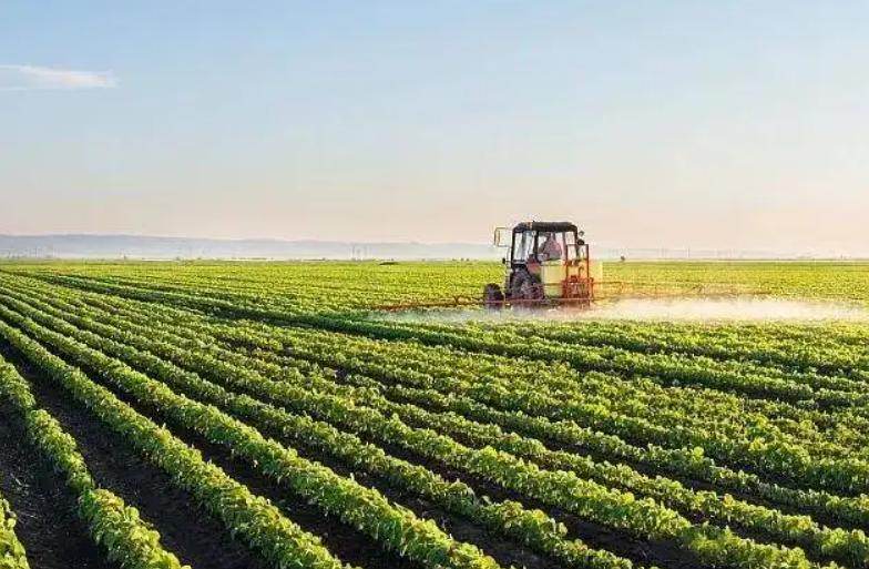 印尼有多少亿人口,印尼人口2022年总人数及国土面积