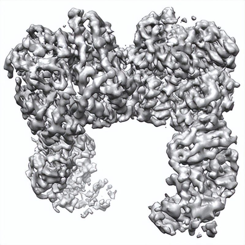 健身增肌的原理是什么,健身增肌原理动作讲解