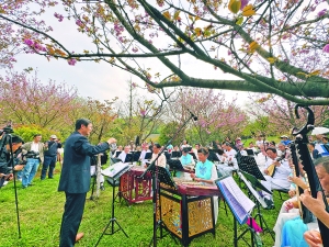 繁花结“金果”！观山湖区赏花经济蓬勃发展
