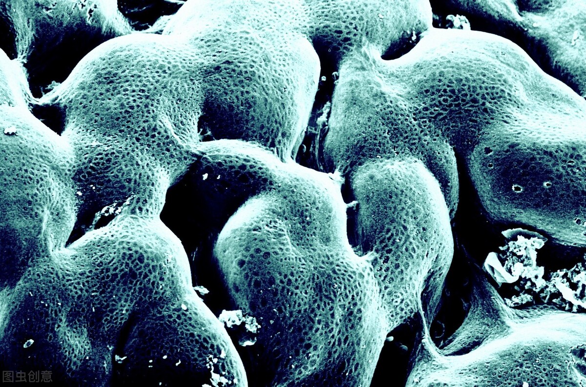 胃溃疡吃哪种胃黏膜保护剂 (胃溃疡适合哪种保护胃黏膜的药)