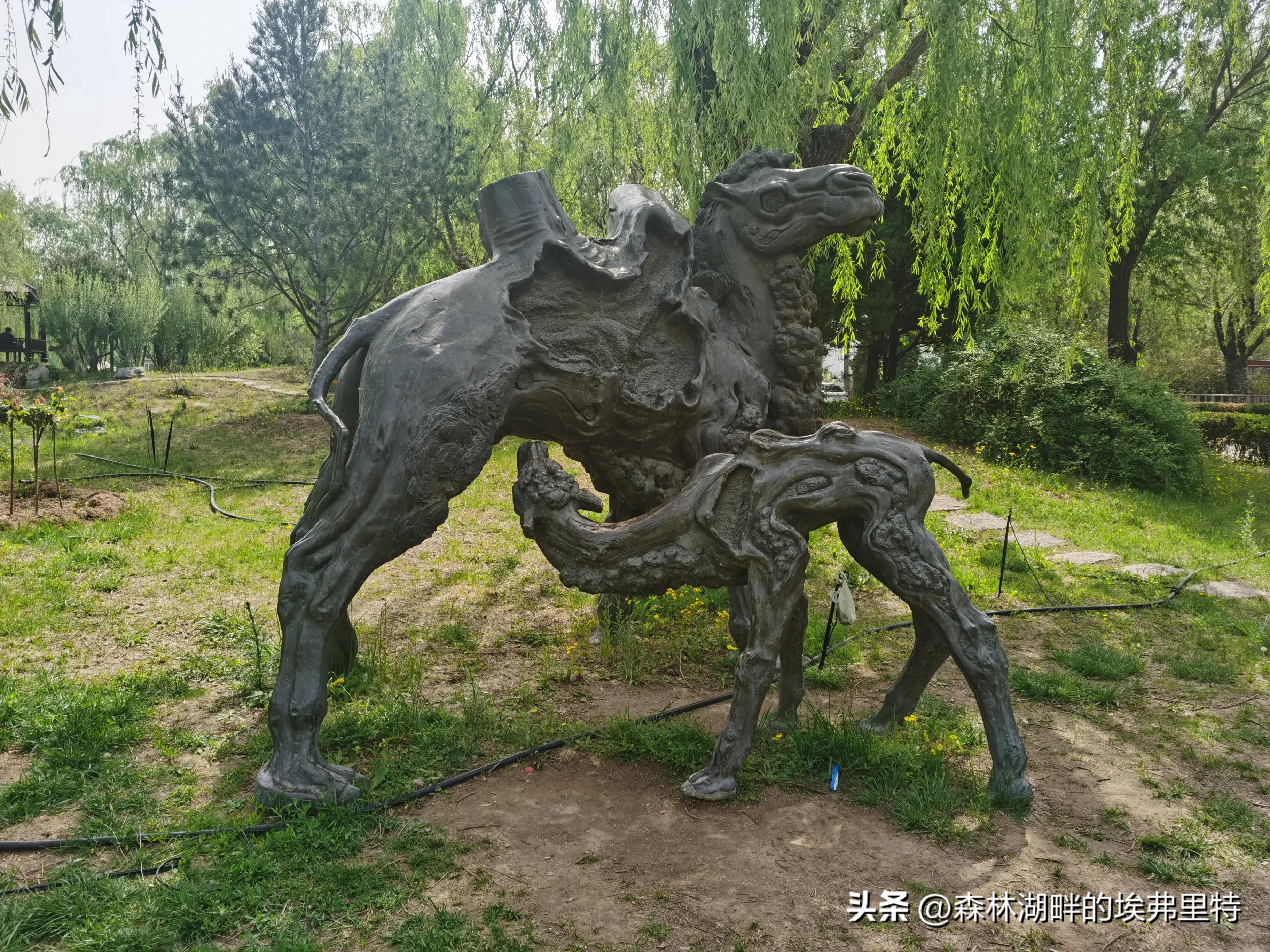 蟹岛度假村火灾,蟹岛度假村视频