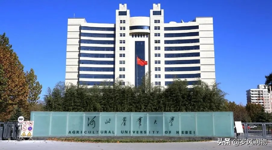 河北高校录取分数线前20专业排名,2021河北985录取分数线和专业位次