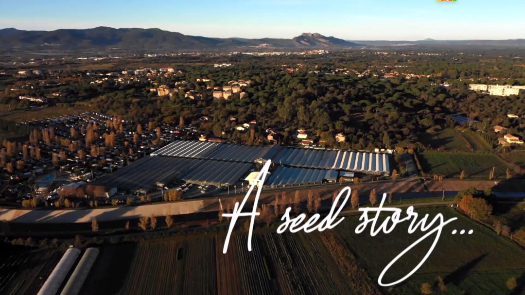 娉曞浗鑾幈灏斾粰瀹㈡潵鍝佺,鑾幈灏斾粰瀹㈡潵