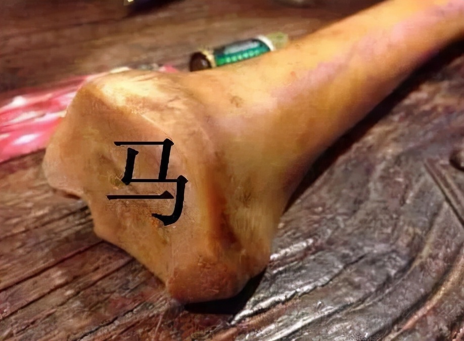 椹鎵嬩覆,椹鎵嬩覆鍦嗙彔