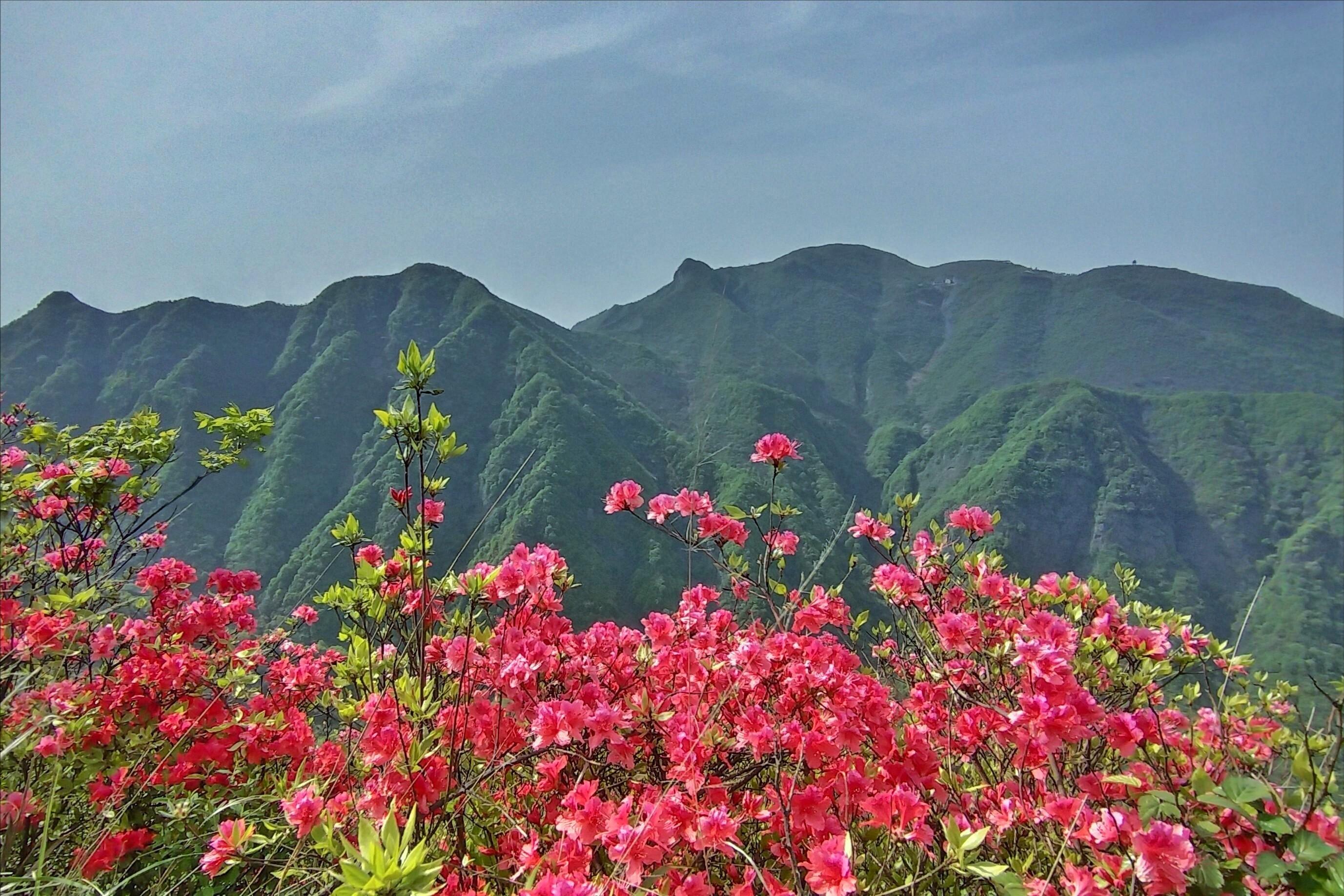 长知识诗仙李白十大经典诗词名篇,李白千古传诵十首诗