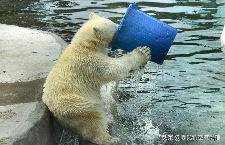 吸入甲醛以后怎么除甲醛,吸入甲醛怎么排出体外