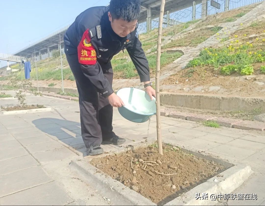 拥抱春天播种希望植树节手抄报,植树节拥抱春天播种梦想主题班会