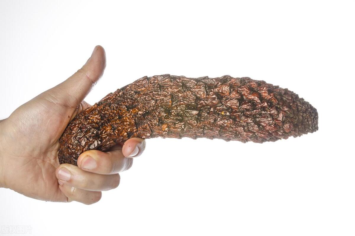 男人补肾固精滋补的食物,秃鸡散补肾阴还是肾阳