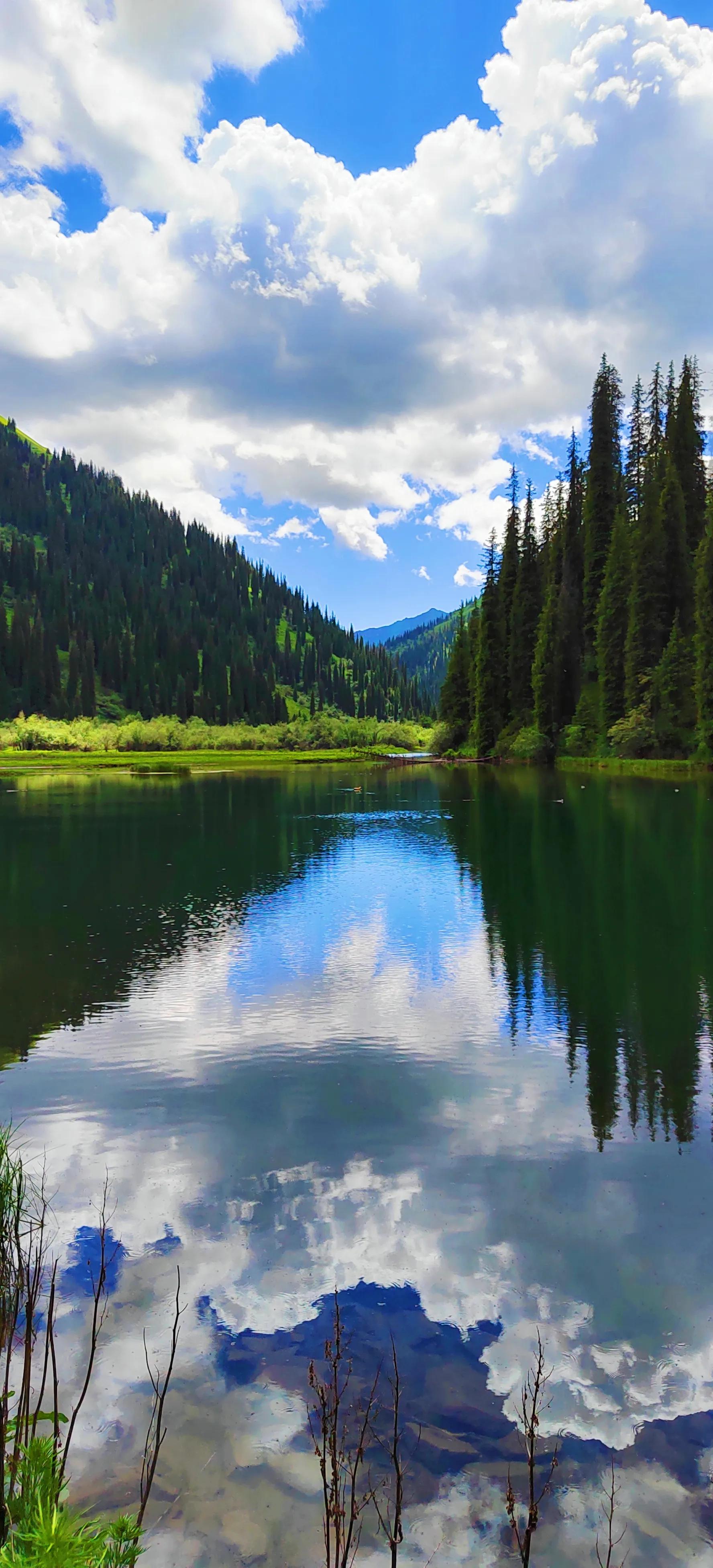 穿越森林探险视频,穿越森林探险之旅