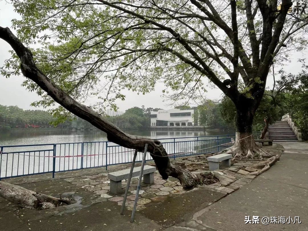 中山市逸仙湖公园改造,中山逸仙湖规划图