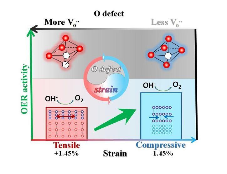 壳聚糖共混物及其在电催化氧还原中的潜在应用