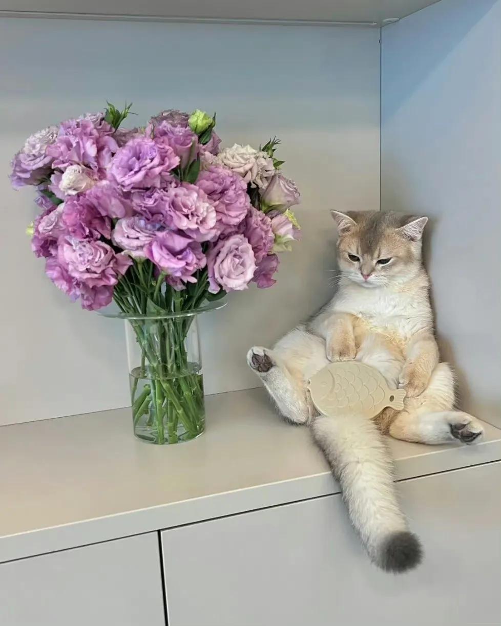 平淡却惊艳世人的高级情绪文案,情绪文案始于初见止于终老