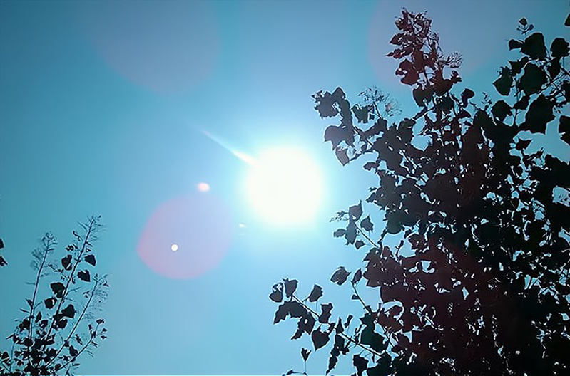 立秋老人有什么说法,有位老人讲述今年立秋是早还是晚