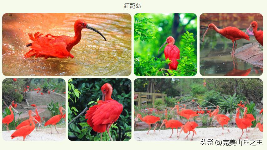 广州5a景区正佳广场,广州5a景点排名大全